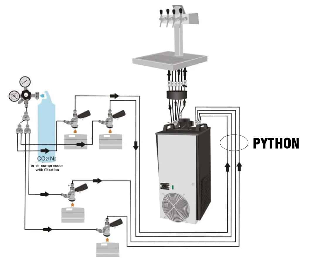 PYTHON - skema e sistemit me grupin e zorrës së pyllit PYTHON - skema e sistemit me grupin e zorrës së pyllit